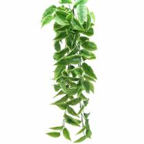 Funkie à bords blancs vert artificiel, blanc 100cm