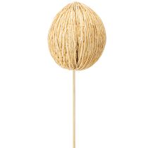 Article Boule Mintolla blanchie 8cm - 10cm L46cm 6 pcs