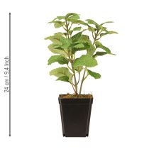 Article Menthe en pot, herbes artificielles, plante verte, H24cm