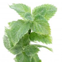 Article Lot de 12 tiges de menthe artificielle verte 25 cm
