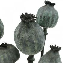 Capsules de graines de pavot couleur noire fleuristerie sèche décoration de graines de pavot 50-60cm 5pcs