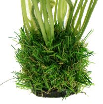 Article Coquelicot dans l'herbe 23cm