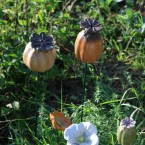 Article Capsule de pavot décorative à piquer - élément décoratif pour le jardin et les projets de bricolage - 41 cm, lot de 4