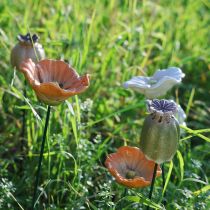Article Piquet décoratif en forme de capsule de pavot pour une touche d'élégance automnale au jardin ou un balcon, 41 cm, lot de 4