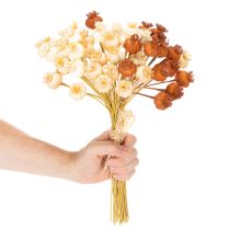 Article Bouquet de capsules de pavot artificielles tricolores 40 cm 45 pièces