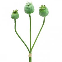 Capsules de graines de pavot décoration graines de pavot artificielles sur un bâton vert 58cm 3pcs en botte