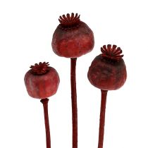 Têtes de pavot colorées en rouge 100 pcs