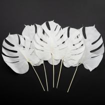 Article Feuilles de Monstera blanchies décoratives pour fenêtre, H40cm, lot de 5