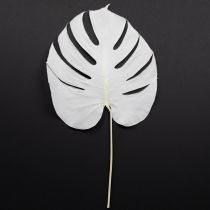 Article Feuilles de Monstera blanchies décoratives pour fenêtre H40cm 5 pcs