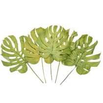 Article Feuilles décoratives de Monstera pour une décoration bohème et jungle urbaine
