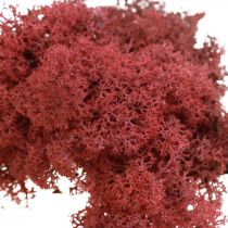 Mousse décorative pour l&#39;artisanat Mousse naturelle rouge colorée en sachet de 40g
