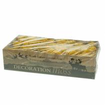 Article Mousse de Rennes Jaune 400g