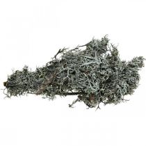 Déco brindilles mousse de chêne mousse déco lichen décoration naturelle 750g