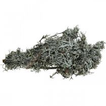 Article Déco brindilles mousse de chêne mousse déco lichen décoration naturelle 750g