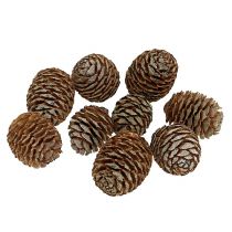 Murii cônes nature 500g
