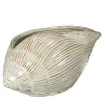 Article Bol en céramique à motif coquillage pour une décoration élégante dans le salon, 23 cm