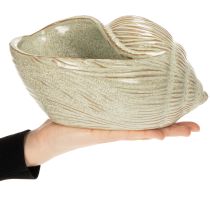 Article Bol en céramique à motif coquillage pour une décoration élégante dans le salon, 23 cm