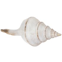Article Forme de coquillage décorative pour une décoration maritime élégante, 44 cm