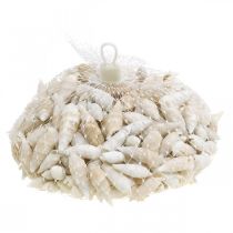 Article Déco escargots blanc, escargot de mer décoration naturelle 2-5cm 1kg