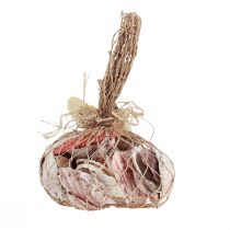 Article Décoration de coquillages véritables coquillages différents types 300g