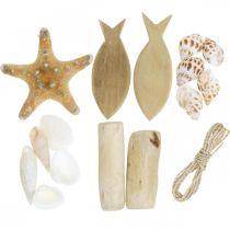 DIY Box Maritime Coquillages Naturels Décoration en Bois Ensemble Assorti