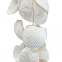 Guirlande de coquillages Décoration maritime guirlande de coquillages L87cm
