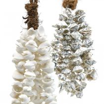 Collier coquillage coquillage pendentif coquillage déco maritime 2pcs