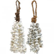Collier coquillage coquillage pendentif coquillage déco maritime 2pcs