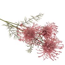 Article Branche Fleur Artificielle Protea Nadelkissen 65 cm Rose et Vert, Set de 3
