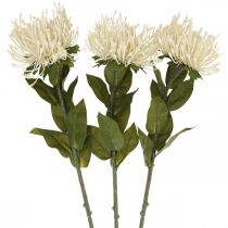 Article Coussin à épingles fleurs artificielles exotiques Protea Leucospermum crème 73cm 3pcs