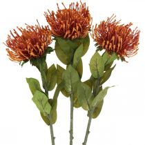 Pincushion Fleur Artificielle Exotique Orange Leucospermum Protea 73cm 3pcs