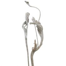 Natraj mélange de bois de cerf blanc lavé 10 pièces