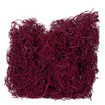 Article Fibres de tamarin naturelles pour loisirs créatifs, bordeaux, 500 g - Décoration, art floral, création