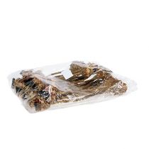 Article Nerifolia Bourgeon 25 pcs