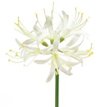 Article Nerine Guernsey Lily Fleur Artificielle Blanc Jaune Ø15cm L65cm