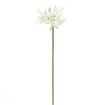 Article Nerine Guernsey Lily Fleur Artificielle Blanc Jaune Ø15cm L65cm