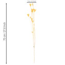 Article Composition florale séchée de Nigella, idéale pour une utilisation prolongée. Élégante et raffinée. 70 cm, 50 g