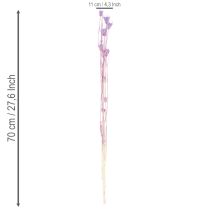 Article Bouquet de fleurs de nigelle séchées, pour la décoration du salon, crée une ambiance unique, 70 cm, 50 g