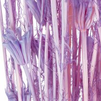 Article Bouquet de fleurs séchées Nigella violet 70 cm - Décoration intérieure élégante