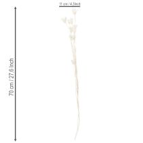 Article Bouquet de fleurs de nigelle séchées, élément décoratif naturel et élégant pour intérieurs raffinés, 70 cm, 50 g