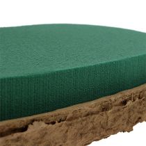 Article OASIS® Biolit® coeur grand 34cm 2 pcs