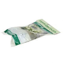 Article OASIS® Déco-Fix 10 pcs