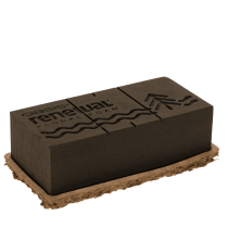Article Mousse florale OASIS® Renewal® Biolit® 2 briques 24 × 13 × 8 cm, marron, pour compositions florales