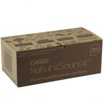Article Oasis NatureSource Maxlife Mousse Florale Brique Marron 23×11×7.5cm 1 pièce