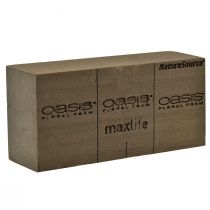 Article Oasis NatureSource Maxlife Mousse Florale Brique Marron 23×11×7.5cm 1 pièce