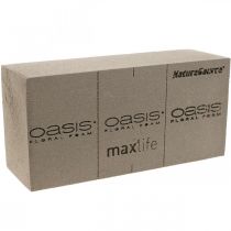 OASIS® BIOLIT® NatureSource brique mousse florale 23cm×11cm×7cm 10 pièces