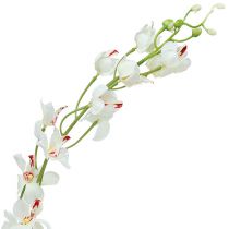 Orchidée Mokara en blanc 92cm 3P