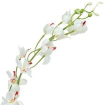 Article Orchidée Mokara Blanc 92cm 3 pcs
