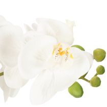 Article Orchidée artificielle blanche en pot 60 cm