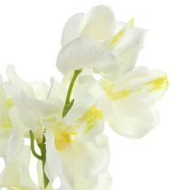 Crème d&#39;orchidée artificielle 50cm 6pcs